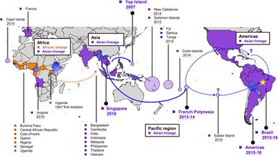 Contributions of Genetic Evolution to Zika Virus Emergence